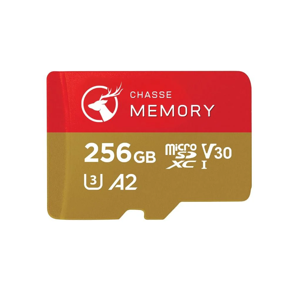 Carte Mémoire SD – Sauvegardez Vos Photos et Vidéos en Toute Sécurité - Image 2