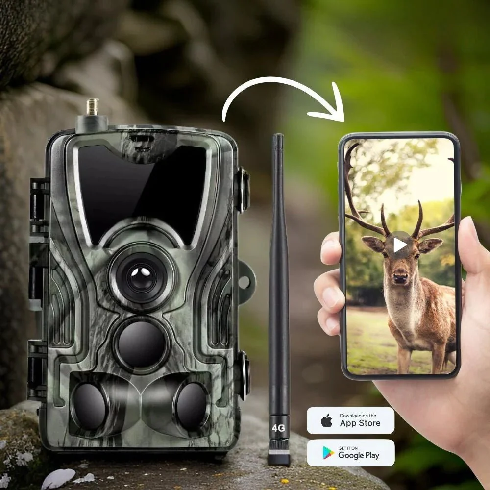 Caméra de chasse 5G - Image 2